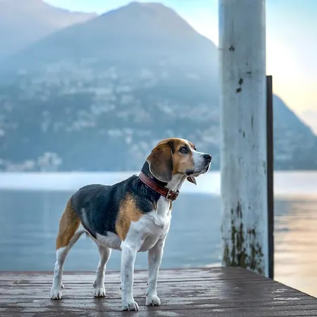 Ξενοδοχείο Novotel Lugano