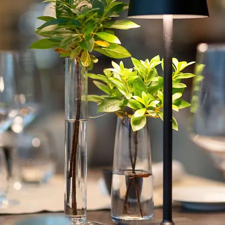 Otel Novotel Lugano